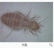 游戏专题 第61页