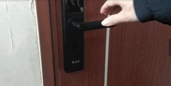 港澳新闻 第8页